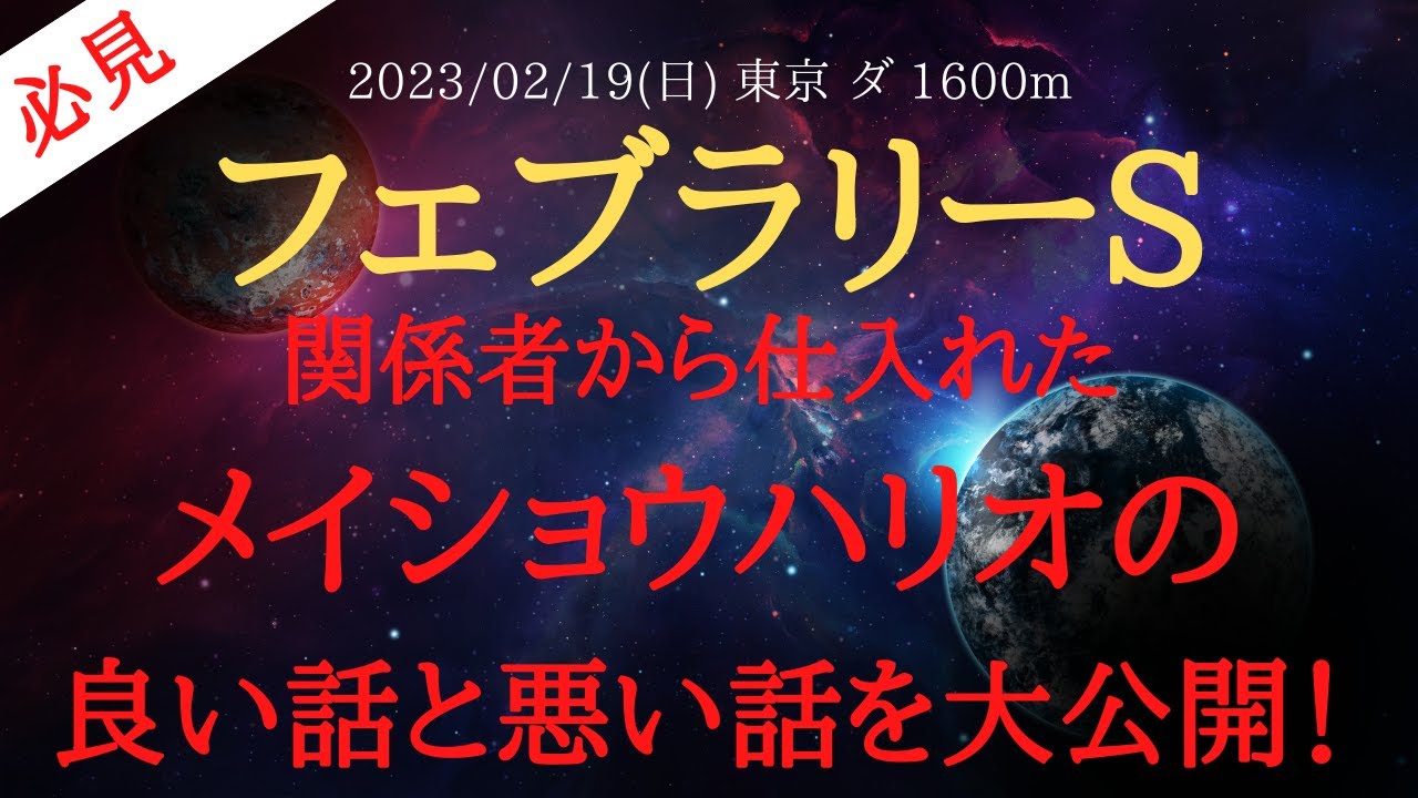 【 裏情報・最終追い切り 】フェブラリーステークス 2023 予想 関係者から仕入れたメイショウハリオの買える？不安な？重要情報を公開！【 中央競馬予想 】