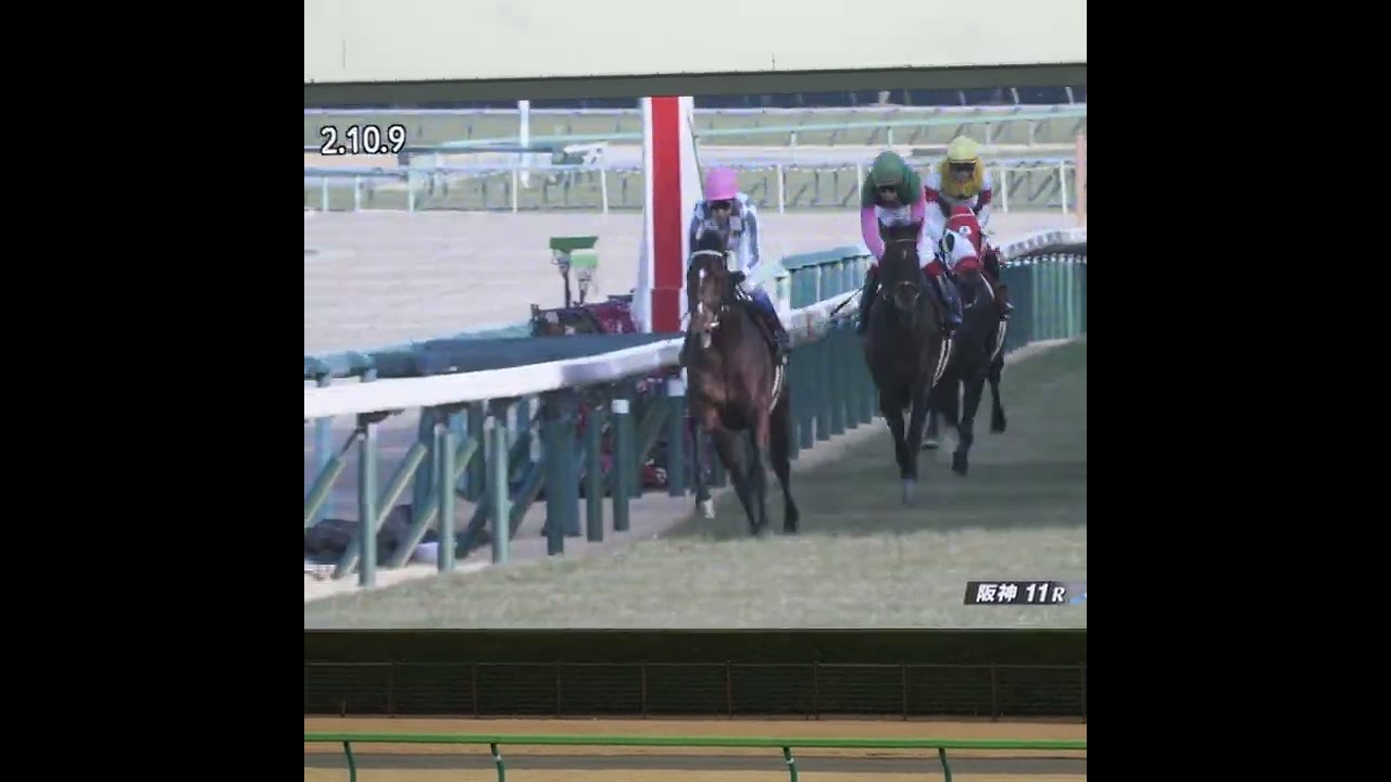 ドウデュースの京都記念圧勝に東京競馬場からも大きな拍手が沸き起こる #shorts