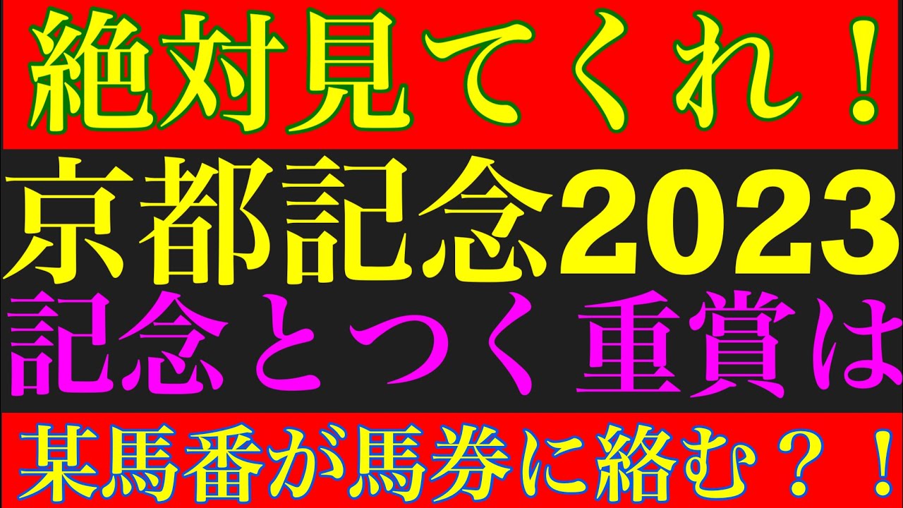 京都記念2023のサイン軸馬予想！「記念」とつく重賞競走はあの馬番が馬券に絡む！