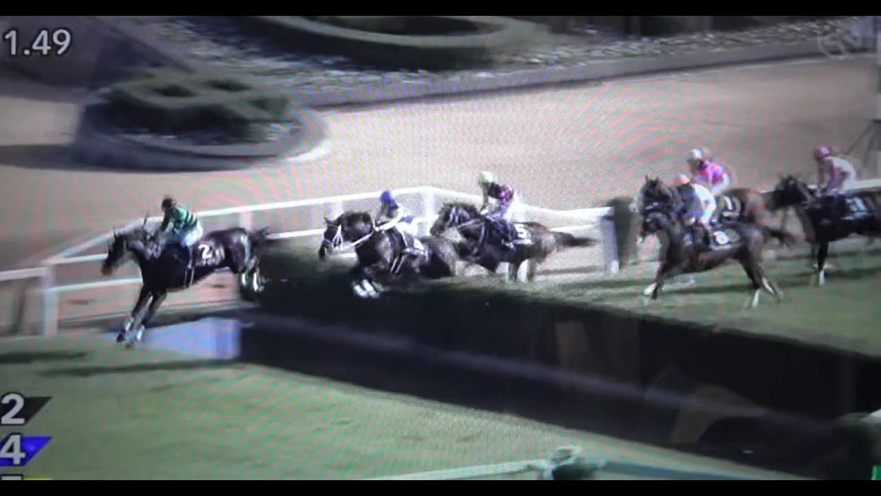 今日の注目レース 中山新春ジャンプステークス中山競馬場第8レース2023  1  7