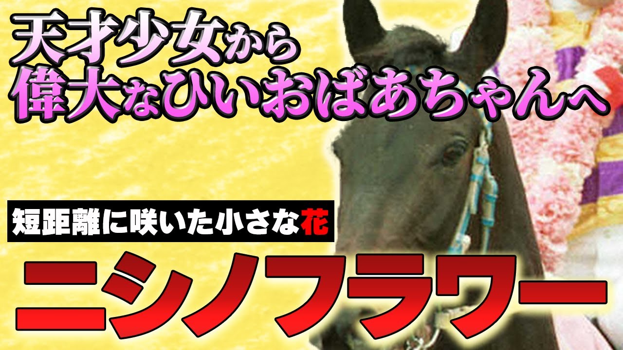 【競馬】天才少女から偉大なひいおばあちゃんへ！ニシノフラワー