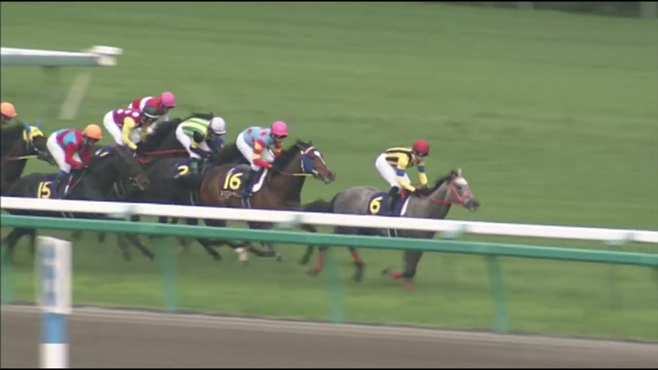 スマートファルコン 2008年 第68回皐月賞(JpnI) (優勝馬：キャプテントゥーレ)