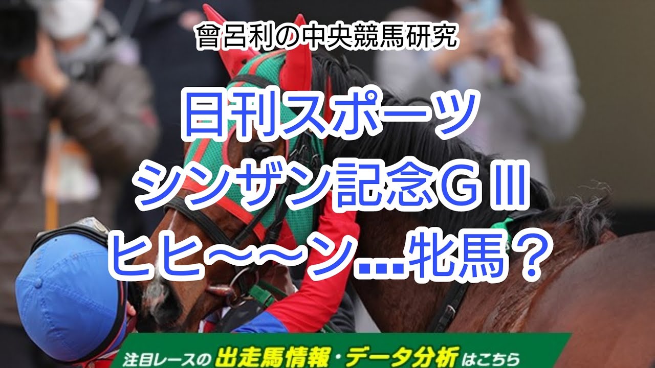 日刊スポシンザン記念 他