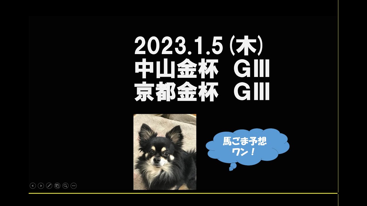 2023年金杯　予想