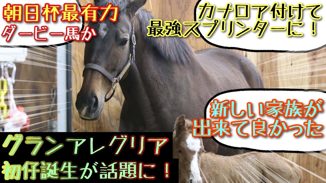 【競馬】グランアレグリアの初仔が話題に！【みんなの反応】