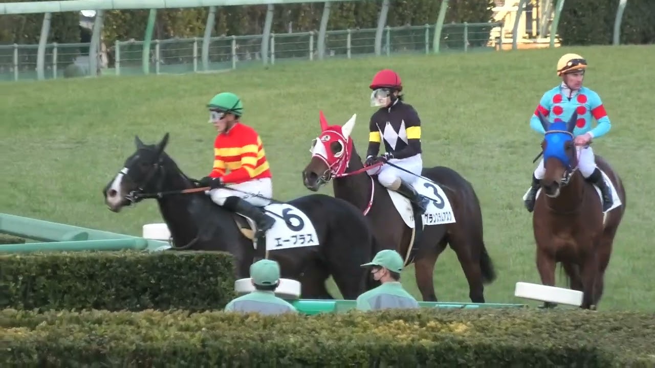 2023 01 07 中山競馬場第12レース　4歳以上2勝クラス　古川 奈穂