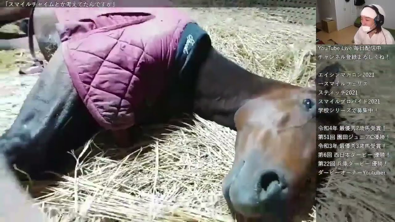 【ダービー馬主】元無職の地方競馬【そして伝説へ】