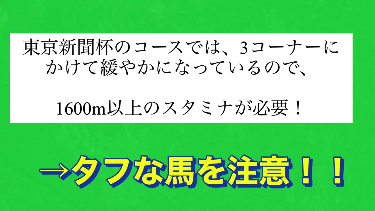 東京新聞杯予想❗️