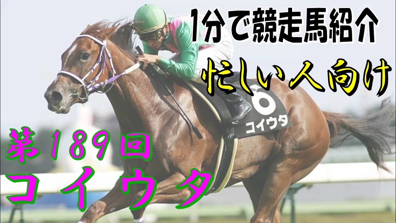 コイウタという馬を1分で紹介してみる