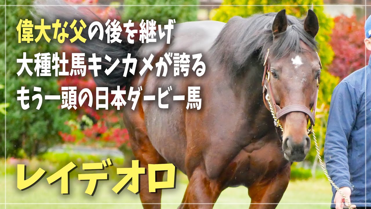 【レイデオロ】藤沢和雄先生悲願の日本ダービー制覇を達成した名馬
