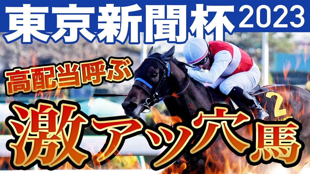 【東京新聞杯2023】高配当を呼ぶ激アツ穴馬はこれだ！前残り、枠順、調教、３つの買い材料！
