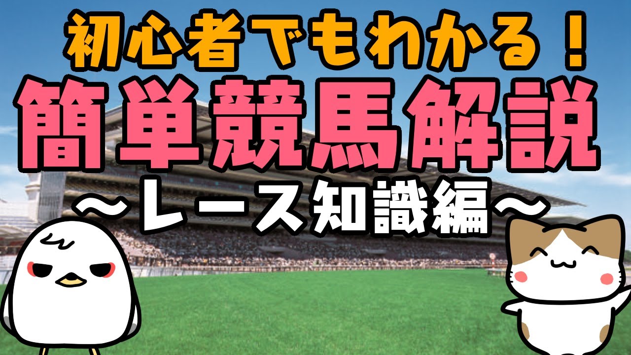【競馬解説】にわかと一緒にざっくり競馬解説～レース編～【初心者向け】