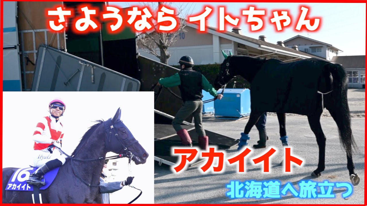 さようなら〝イトちゃん〟アカイイトが笑顔の惜別を終えて北海道へ