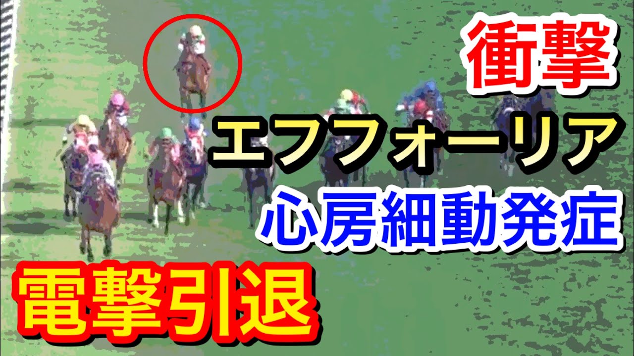 【衝撃】エフフォーリアが引退を発表…ファンは何を思うのか？