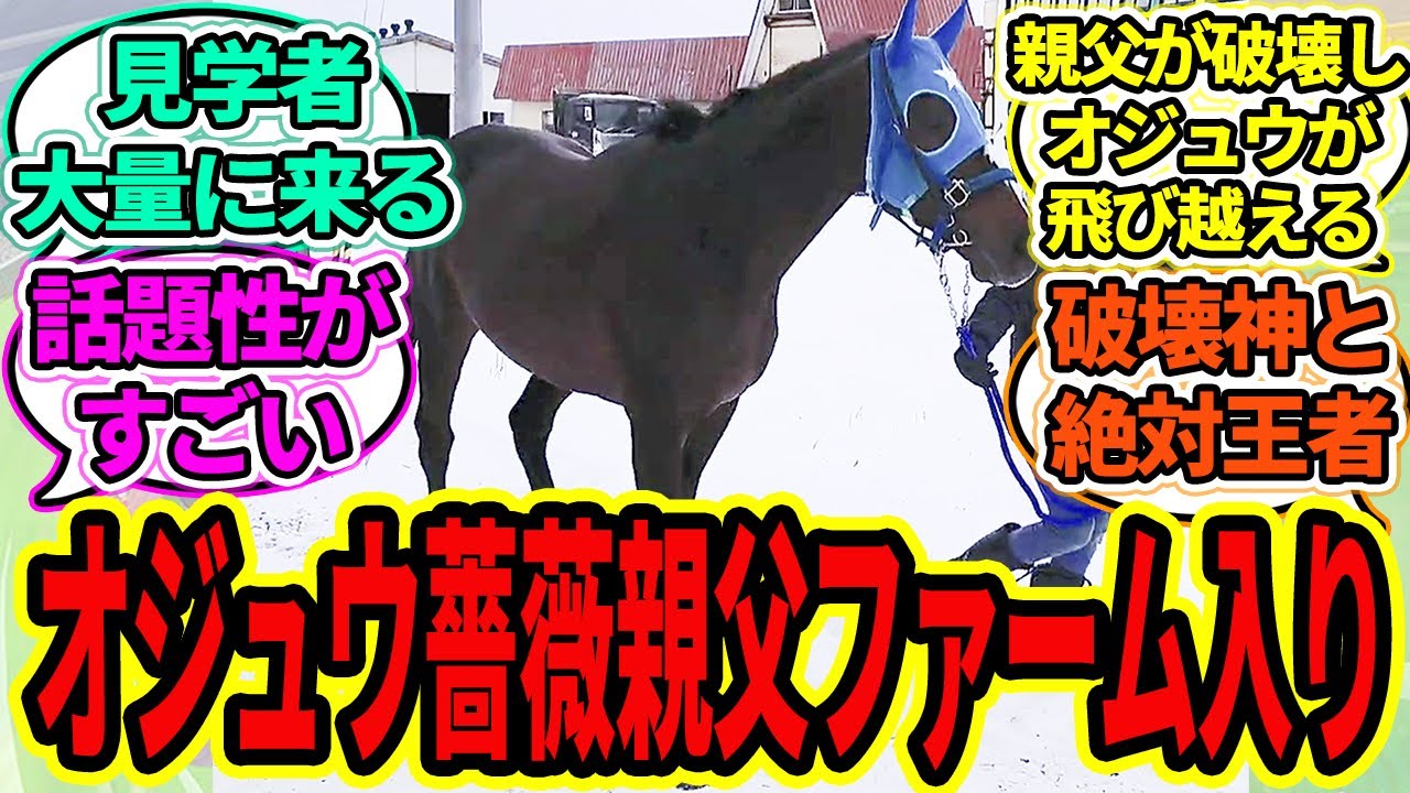 『オジュウチョウサンがYogiboヴェルサイユリゾートファーム入り！』に対するみんなの反応【ウマ娘プリティーダービー 競馬の反応集 タニノギムレット】