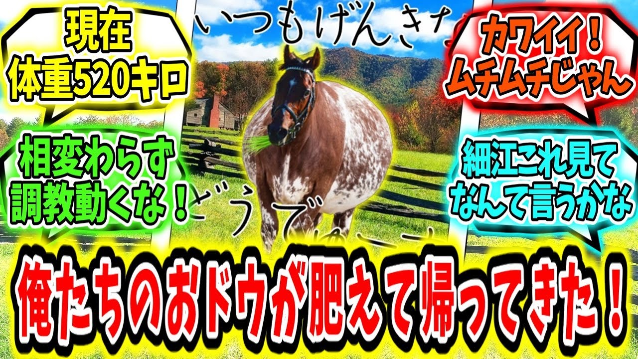『俺たちのドウデュースが肥えて帰ってきた！』に対するみんなの反応