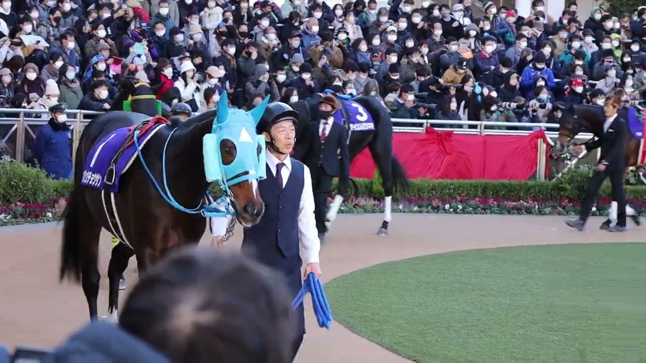 オジュウチョウサン、引退レースパドック