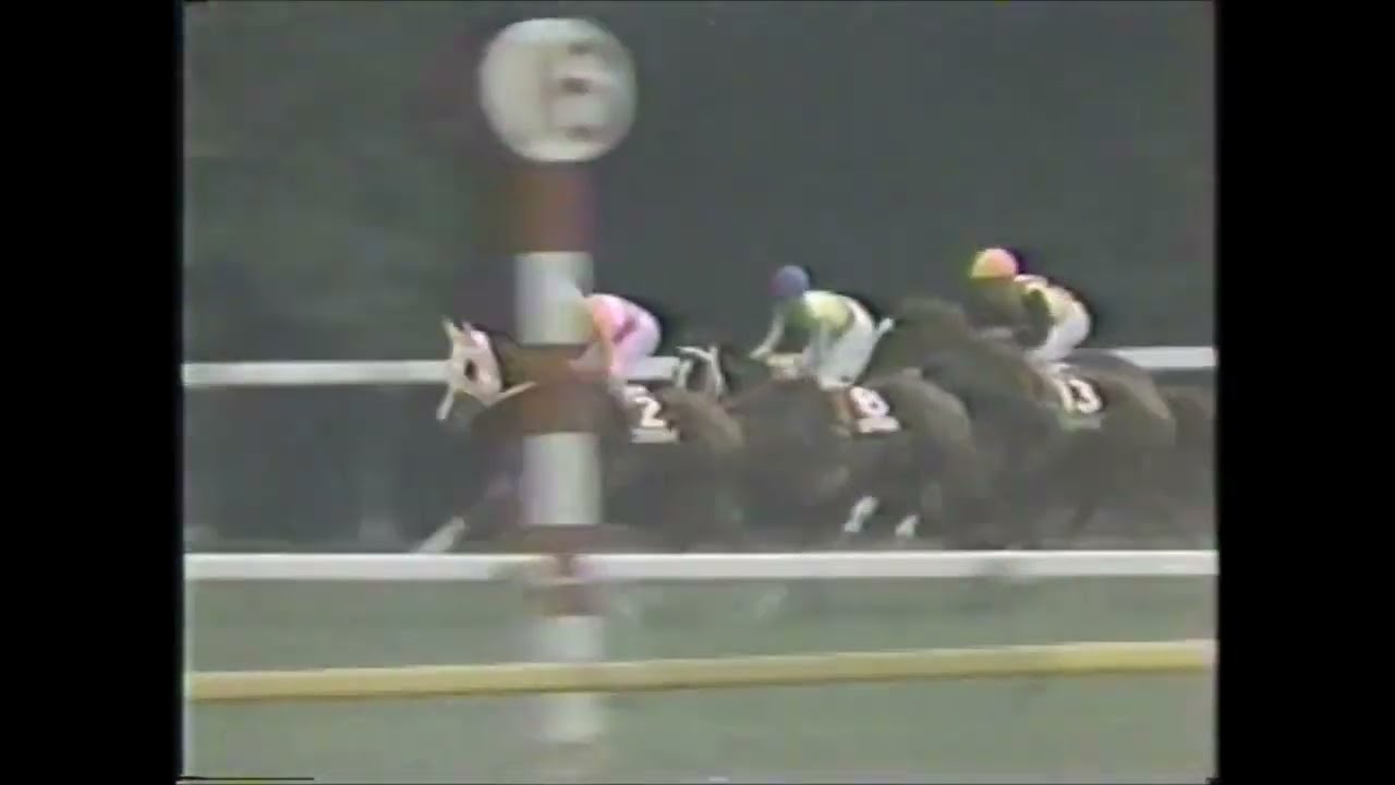 第２６回　４歳牝馬特別（オークストライアル） （ＧⅡ）　ヤマニンマリーン　 柴田善臣　1991.4.28　　出走馬：スカーレットブーケ、ミルフォードスルー 、エミノディクタス他　　＃キャッスルリバー