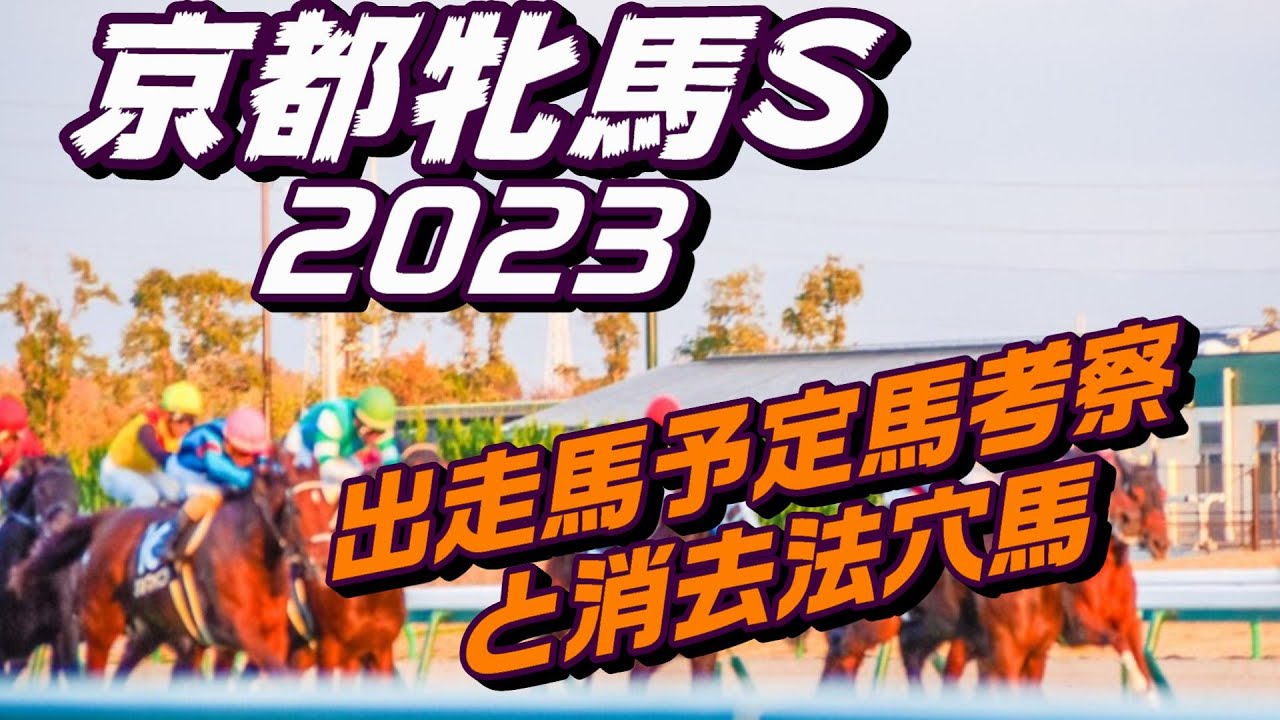 京都牝馬ステークス2023出走馬予定馬データ分析と消去法予想