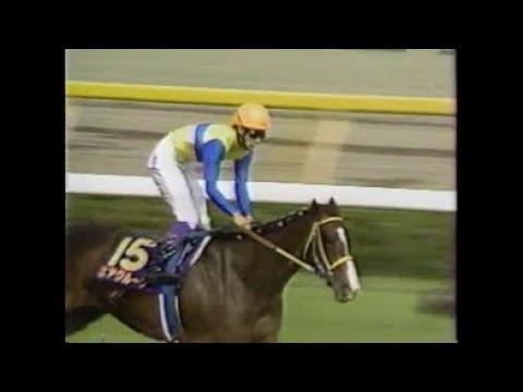 【女帝　初戴冠】第５７回優駿牝馬（オークス）（ＧⅠ）　エアグルーヴ　武豊　1996.5.26　出走馬：エリモシック、ナナヨーストーム、ファイトガリバー、ノースサンデー、ロゼカラー他　＃キャッスルリバー