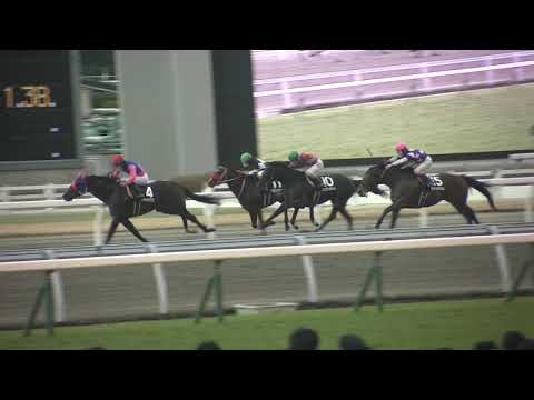 和布刈特別 現地 レース メイショウジブリ サンライズジャスト ハイエストポイント アスクビッグスター リアルシング 2023/2/11 小倉競馬場 11R