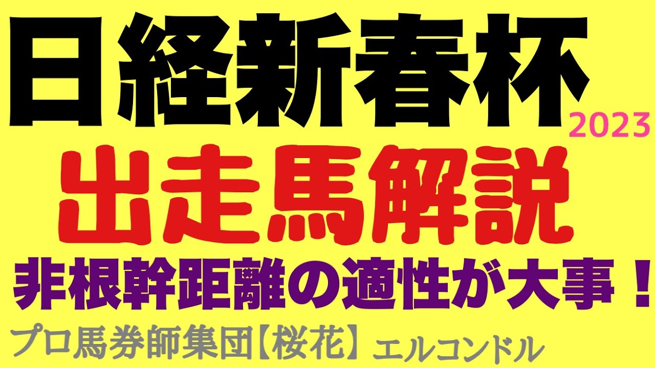 プロ馬券師集団桜花エルコンドル氏の日経新春杯2023出走馬解説！！ハンデ重賞にして週末は天気が崩れる可能性もある！非根幹距離への対応も求められる難解なレース！