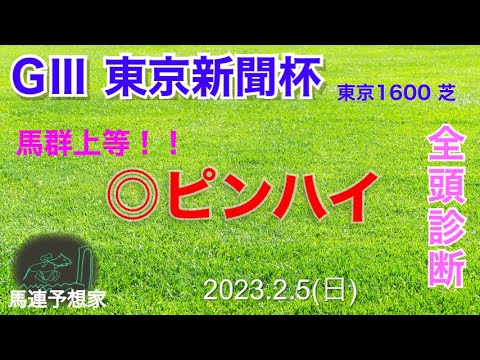 2023東京新聞杯◎ピンハイ！！！　#馬連 #全頭診断