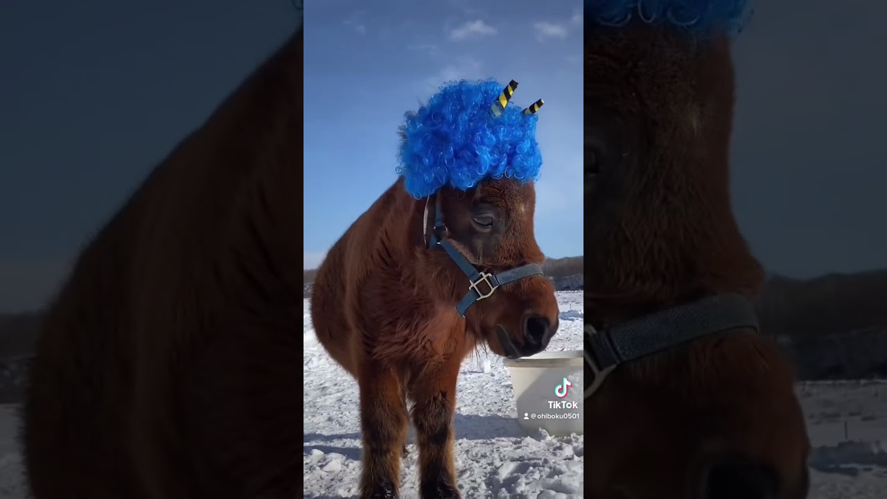 草食系👹　#shorts