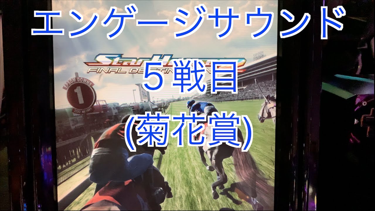 【スターホース２】　ー 221頭目ー　エンゲージサウンド　5戦目(菊花賞)