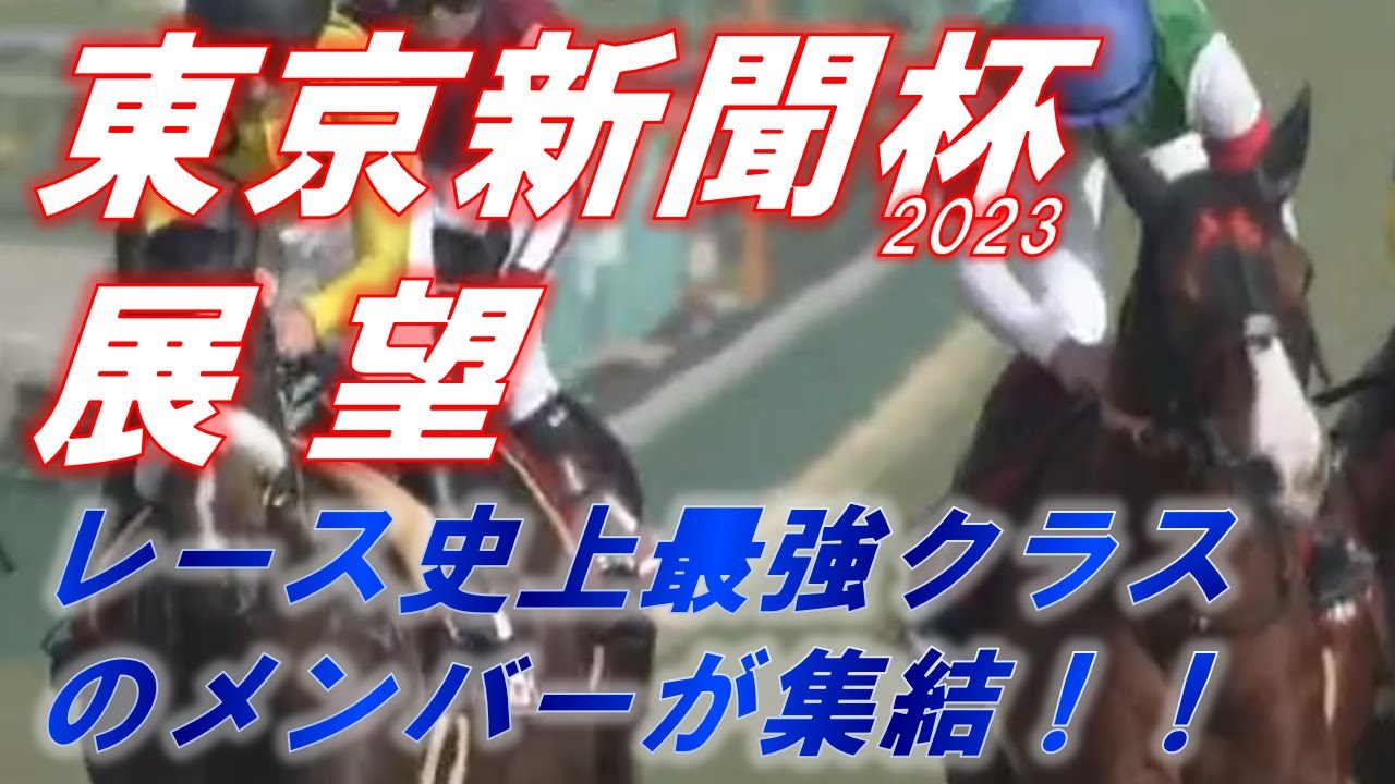 東京新聞2023　展望　レース史上最強メンバーが集結！！　ナミュール、インダストリア、ジャスティンカフェの評価は！？　元馬術選手のコラム【競馬】