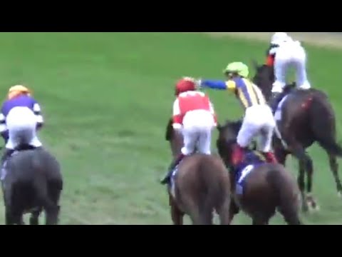 ジャパンカップ　1着スワーヴリチャード号（O.マーフィー騎手）（個人撮影）2017年11月24日（日）東京競馬場