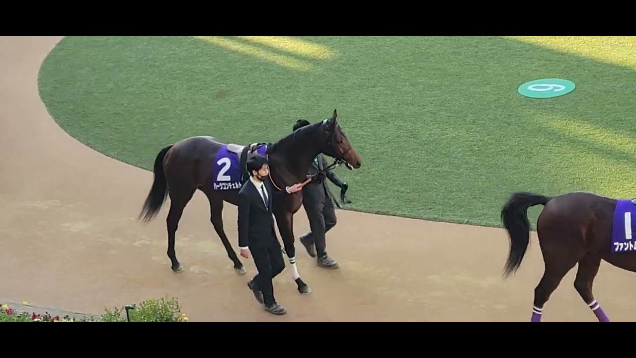 2022/12/28 中山 ホープフルステークス(GⅠ) ハーツコンチェルト