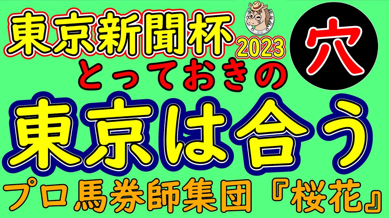 東京新聞杯2023とっておきの穴馬は東京の舞台が合う！人気２強の構成となりナミュールとジャスティンカフェはコース形態が合うのか？穴馬で東京コースが合う馬がいる！？