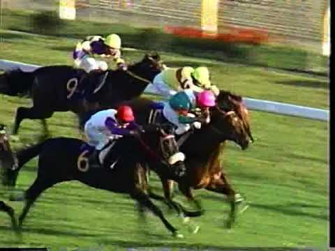 第92回　天皇賞（秋）（ＧⅠ）　ギャロップダイナ　1985.10.27　　出走馬：シンボリルドルフ、ウインザーノット、ニホンピロウイナー、ニシノライデン　他　　実況：堺正幸