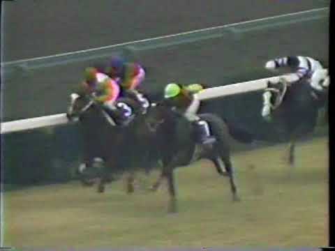 『マルゼンスキーのレコードが遂に塗り替えられました！』第４２回　朝日杯３歳ステークス （ＧⅠ）　リンドシェーバー　的場均　1990.12.9　出走馬：ビッグファイト他　実況：三宅正治　解説：大川慶次郎