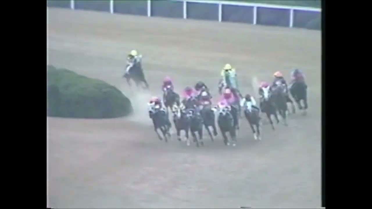 『負けられない南井克己！譲れない武豊！』　第６回　マイルチャンピオンシップ （ＧⅠ）　オグリキャップ　1989.11.19　　出走馬：バンブーメモリー、ホクトヘリオス、シヨノロマン他　　　実況：杉本清