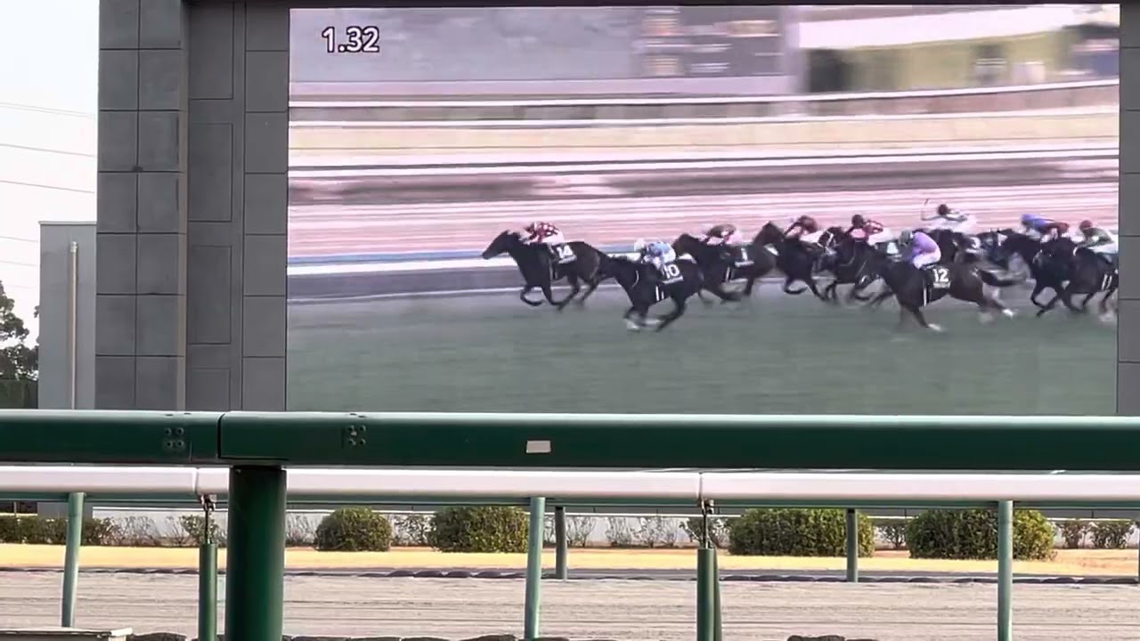 中京から見る中山3歳牝馬重賞フェアリーステークス最後の直線