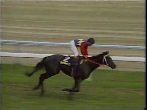 【芦毛の怪物　古馬初挑戦！】第１８回　高松宮杯 （ＧⅡ）　オグリキャップ　1988.7.10　　出走馬：ランドヒリュウ、コスモドリーム、プレジデントシチー　他