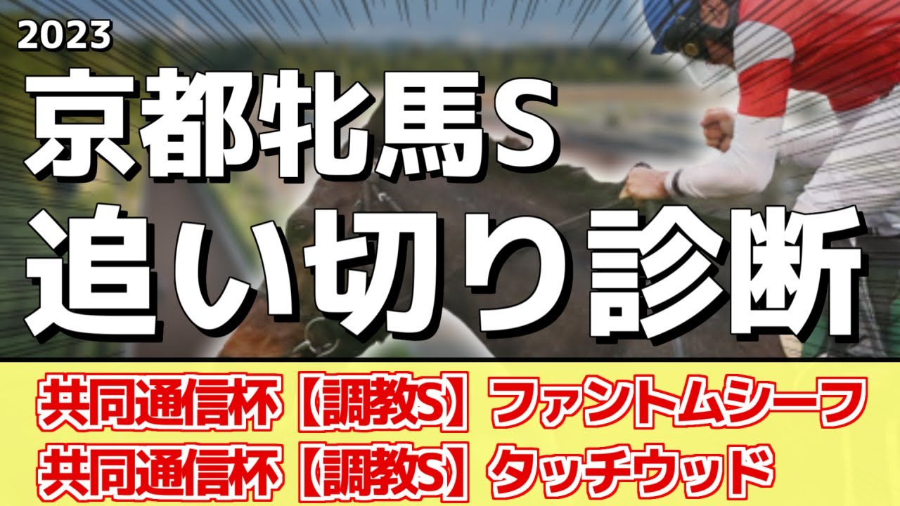 追い切り徹底解説！【京都牝馬ステークス2023】ウォーターナビレラ、ウインシャーロットなどの状態はどうか？調教S評価は2頭！