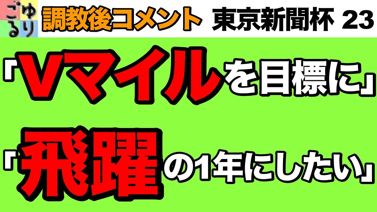 【G1目指して】東京新聞杯 2023   調教後コメント【競馬予想】