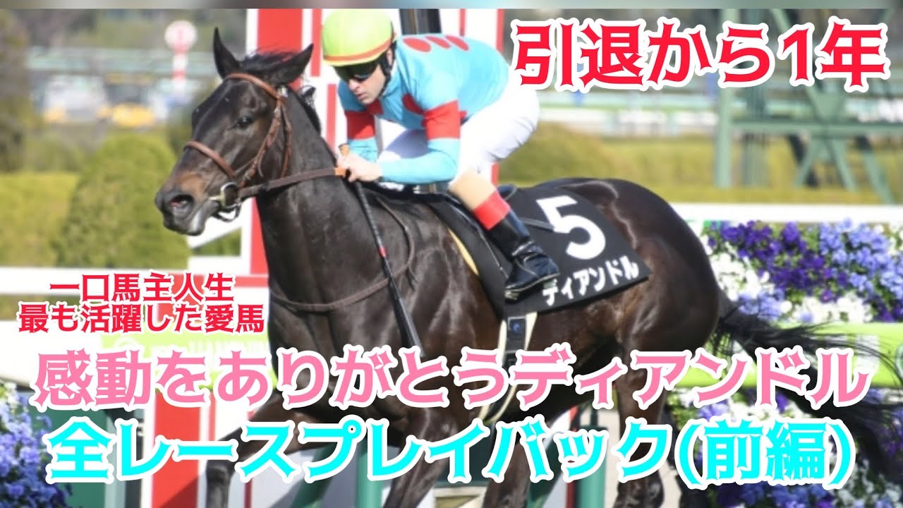 引退から1年‼︎愛馬ディアンドル全レースプレイバック【前編】