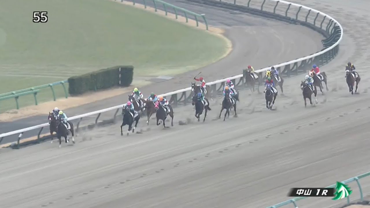 2023/01/14　中山競馬場　1R　シュヴァルツリーベ　津村明秀騎手