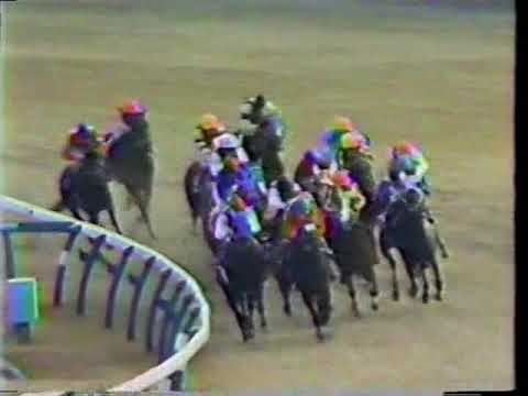 『あっ！これはパッシングショットの楠選手が出てしまっています。』　第２４回　スプリンターズステークス （ＧⅠ）　バンブーメモリー　武豊　1990.12.16　　出走馬：ダイタクヘリオス、ルイテイト他