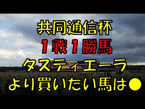 ２０２３年　共同通信杯予想【大混戦　共同通信杯　本命候補は１戦１勝馬でない馬　】