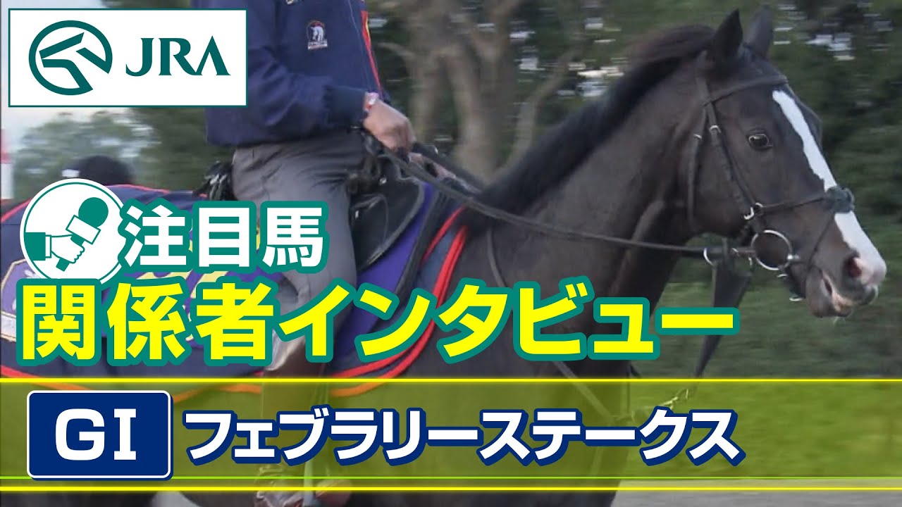 【注目馬 関係者インタビュー】2023年 フェブラリーステークス｜JRA公式