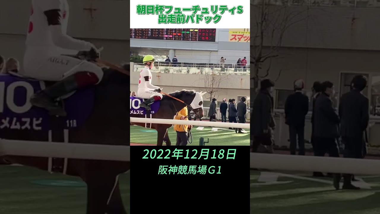 【阪神11R】朝日杯フューチュリティステークス2022 #阪神競馬場 #G1 #shorts