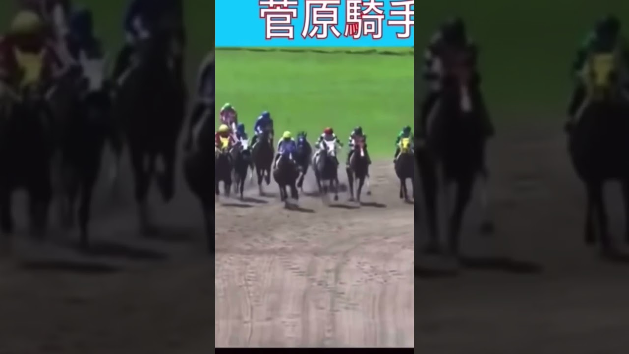 赤枠同士でぶつかって落馬してしまう