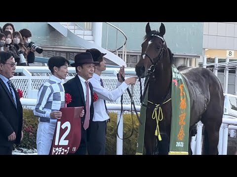 【ドウデュース　京都記念圧勝‼️】#京都記念2023  #武豊 #ドウデュース