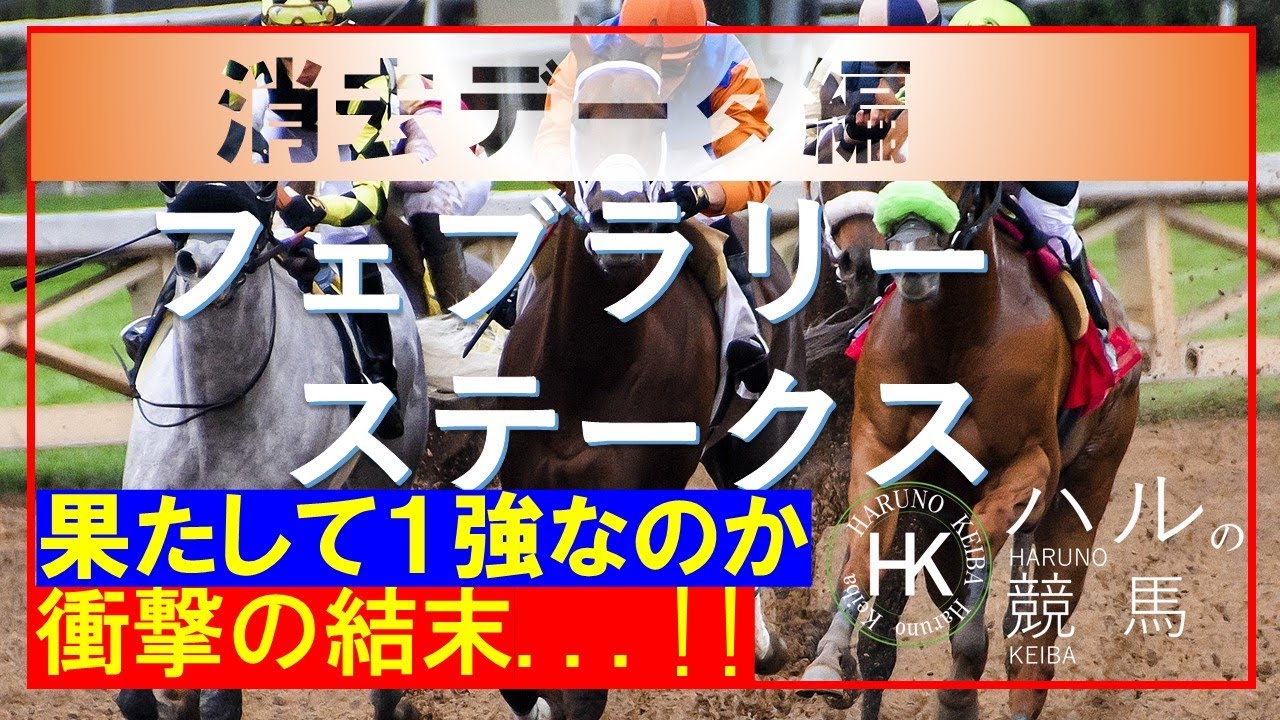 フェブラリーステークス2023　消去データ編！！レモンポップで間違いなし!?お確かめください！！