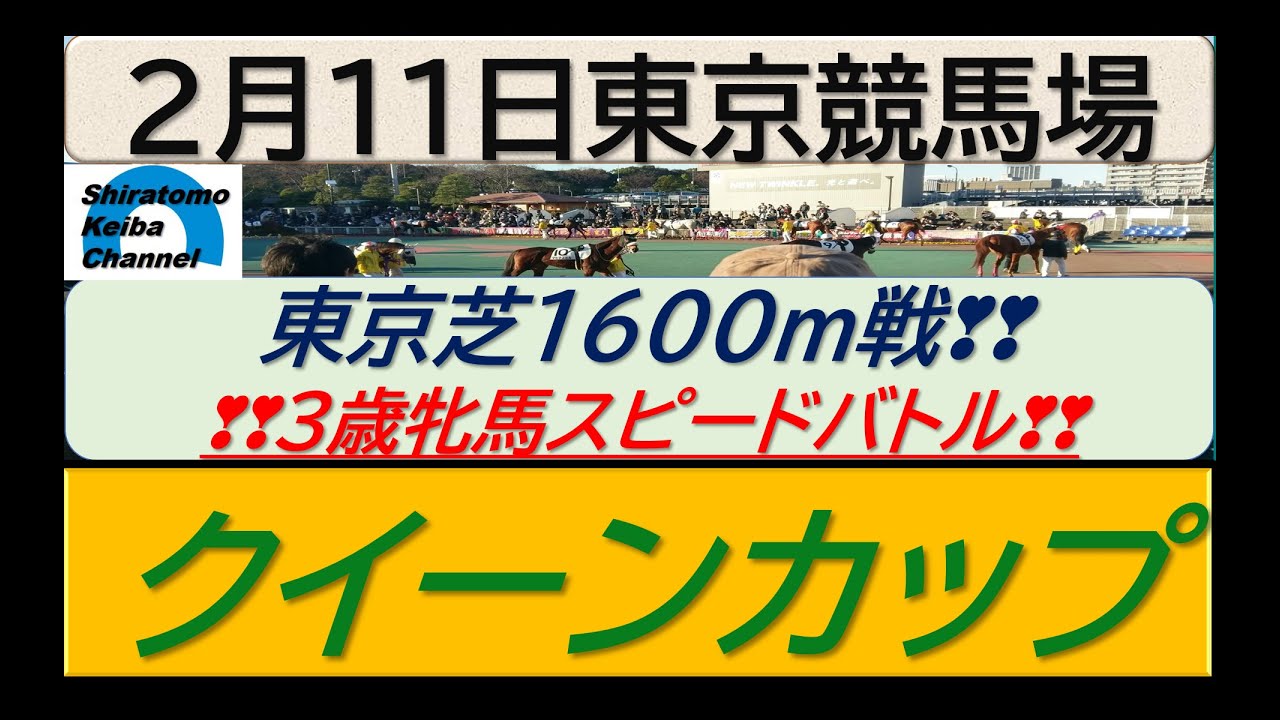【競馬予想】GⅢクイーンカップ　阪神JF好走のドゥアイズ登場！～2023年2月11日 東京競馬場 ：2―18